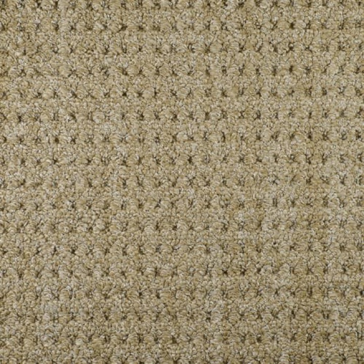 Savanna Weave &mdash; Loop Pile &middot; EnVision Nylon