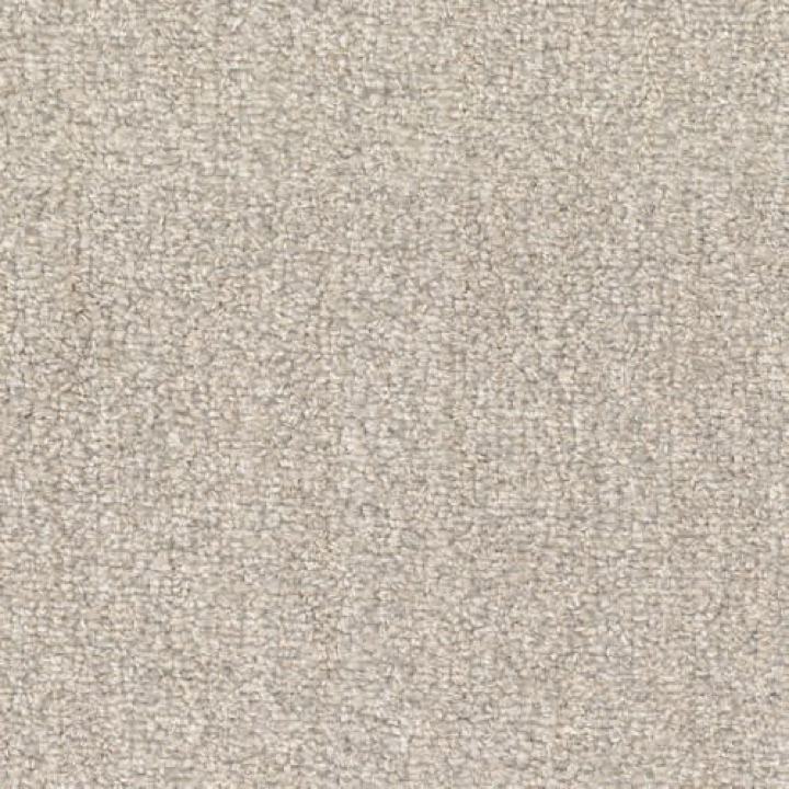 Tundra &mdash; Textured Loop &middot; EnVision BCF Nylon