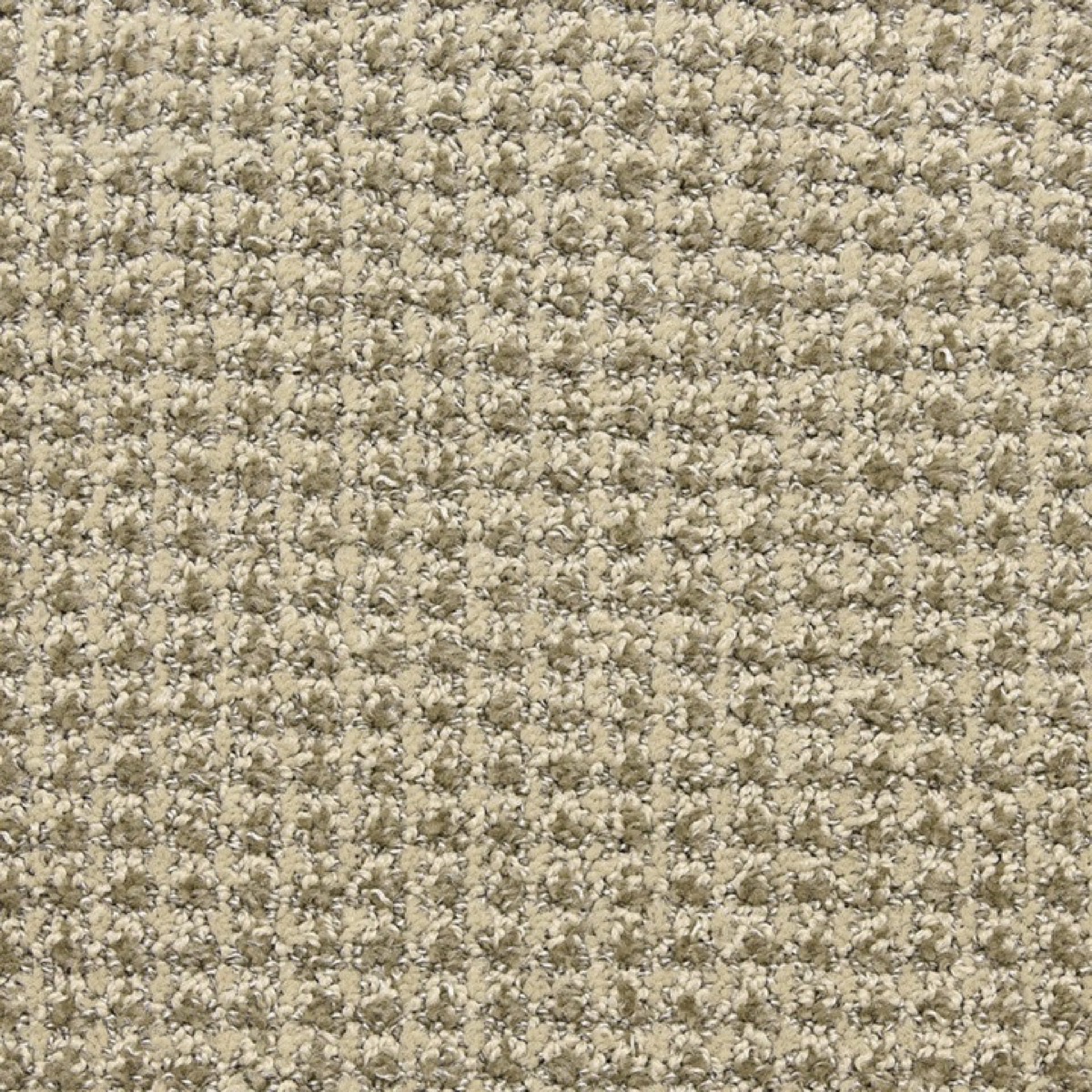 Alpha &mdash; Commercial Broadloom &middot; EnVision SD BCF Nylon