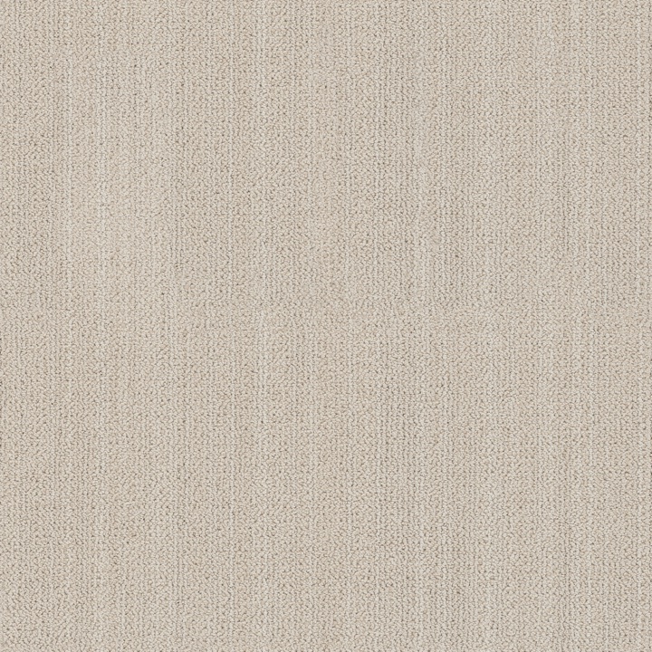 Anderson Tuftex In Rhythm &mdash; Loop / Berber (PET)