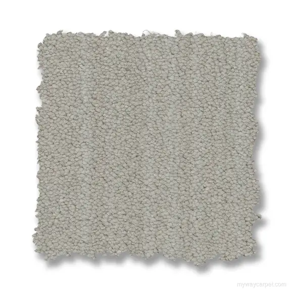 Magnifique carpet from Anderson Tuftex