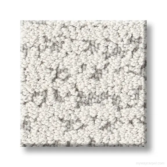 Tangent carpet from Anderson Tuftex