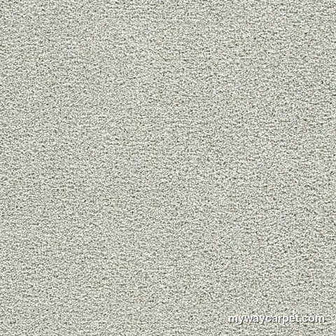 DreamWeaver Breakview I carpet swatch