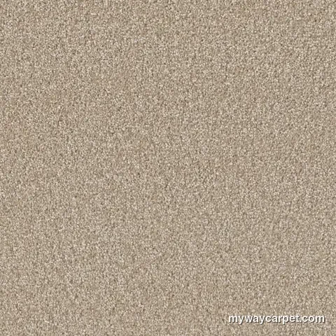 Broadcast Plus 3125 cut-pile carpet from DreamWeaver, Cameo colorway