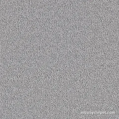 Cape Cod 2540 textured cut-pile carpet from DreamWeaver, Smoke colorway