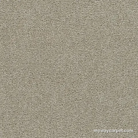 Clearwater I 1345 cut-pile carpet from DreamWeaver, Wonder colorway