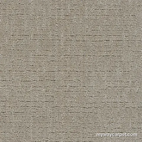 DreamWeaver Natural Attraction carpet swatch