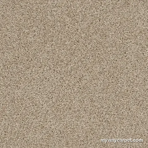 DreamWeaver Reflections II carpet swatch