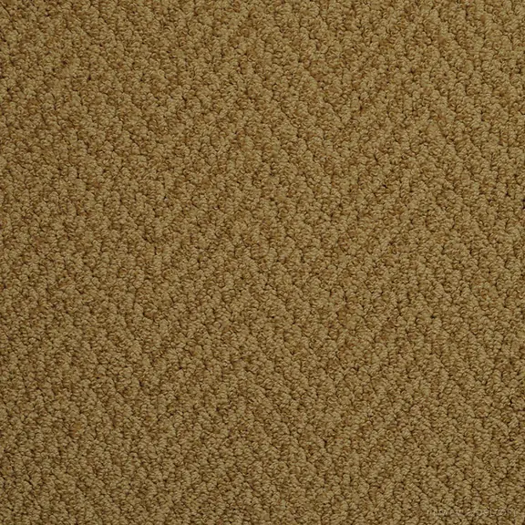 Agave - Signature carpet from Masland