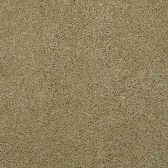 Allegria - Signature carpet from Masland