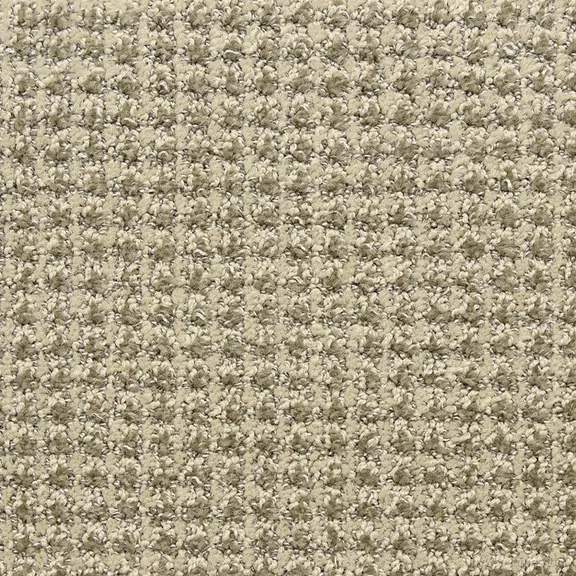 Alpha carpet from Masland