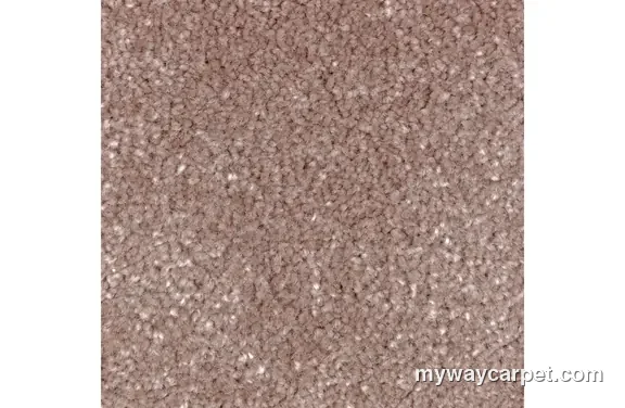 Mohawk Residential Homefront II carpet swatch