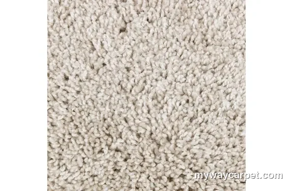 Mohawk Residential Perfect Attraction carpet swatch