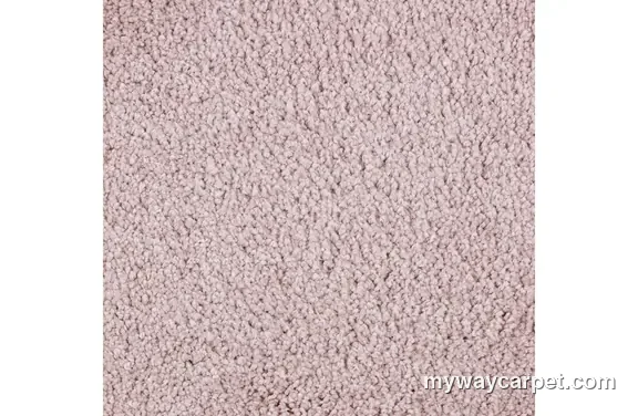 Mohawk Residential Exquisite Beauty carpet swatch