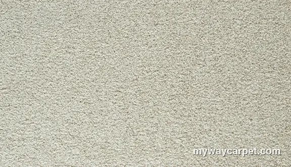 Mohawk Residential Cozy Companion II carpet swatch