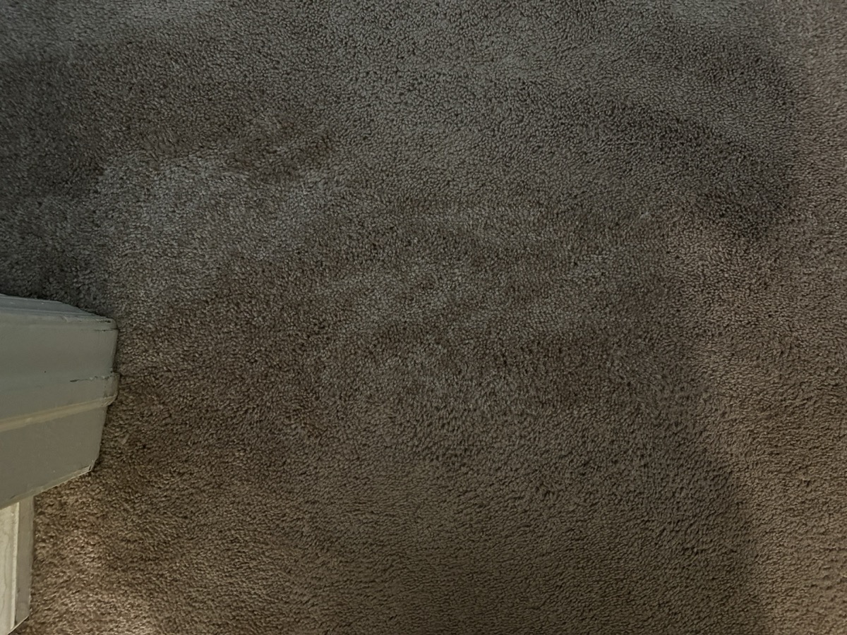 Close-up of the repaired carpet area