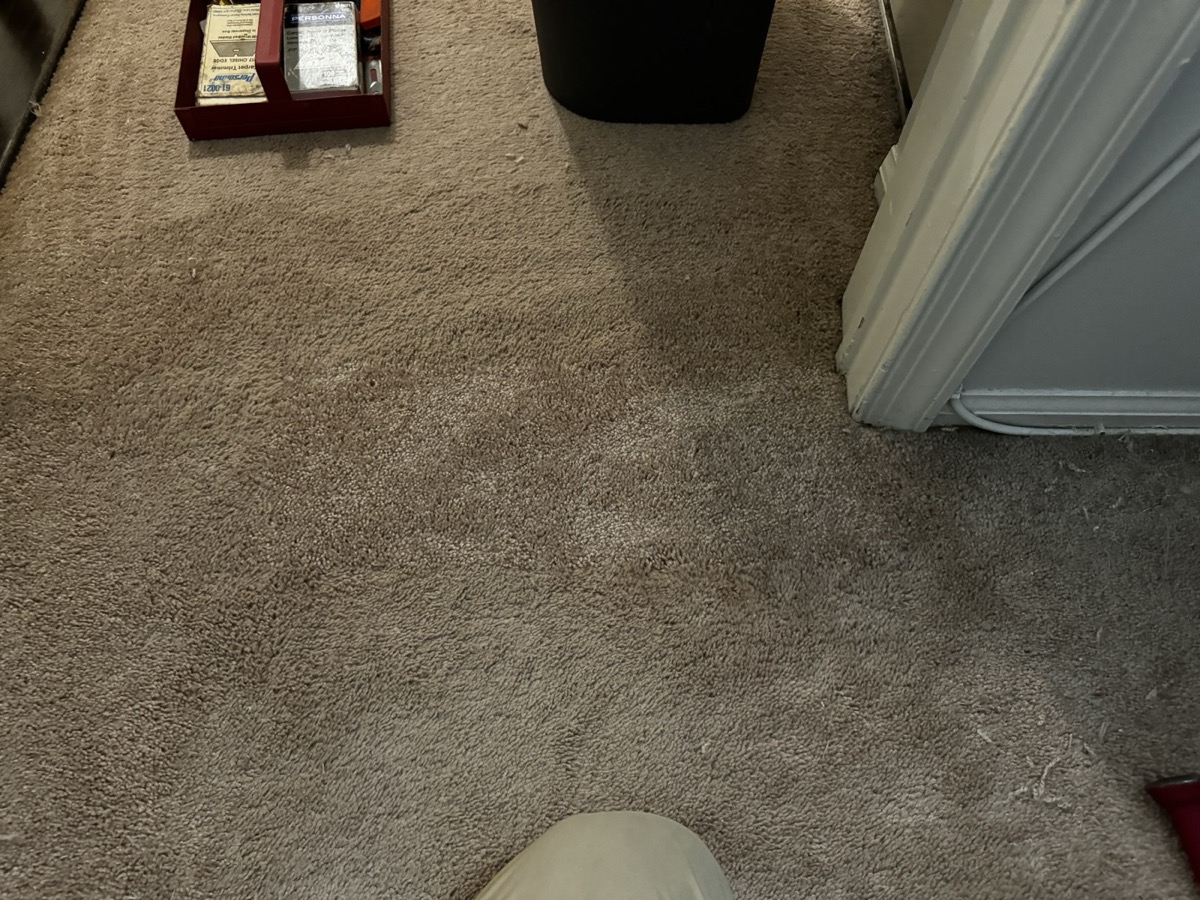 Wide view of the repaired carpet area
