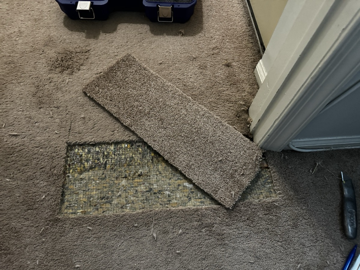 Clean rectangle cut out of the damaged area with donor piece ready