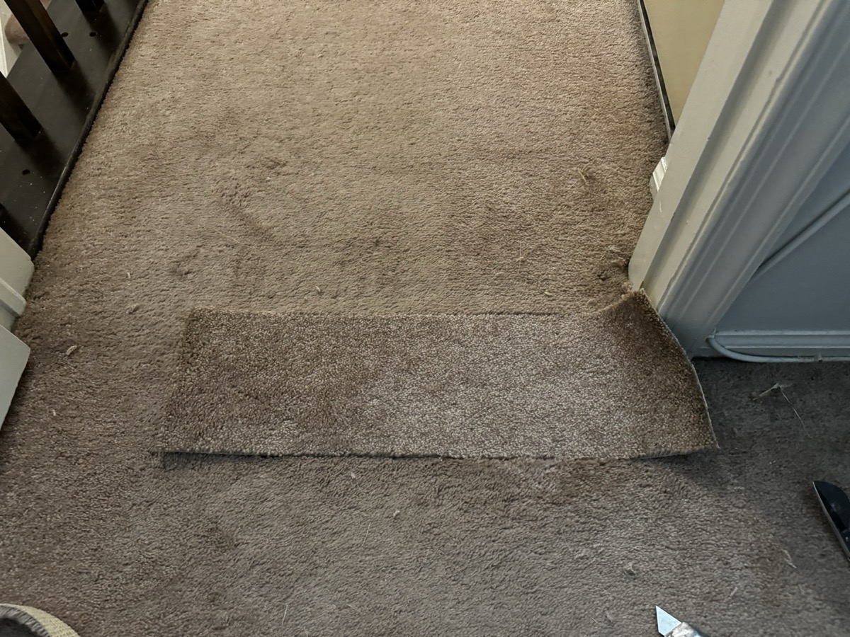 Donor patch dropped into the opening