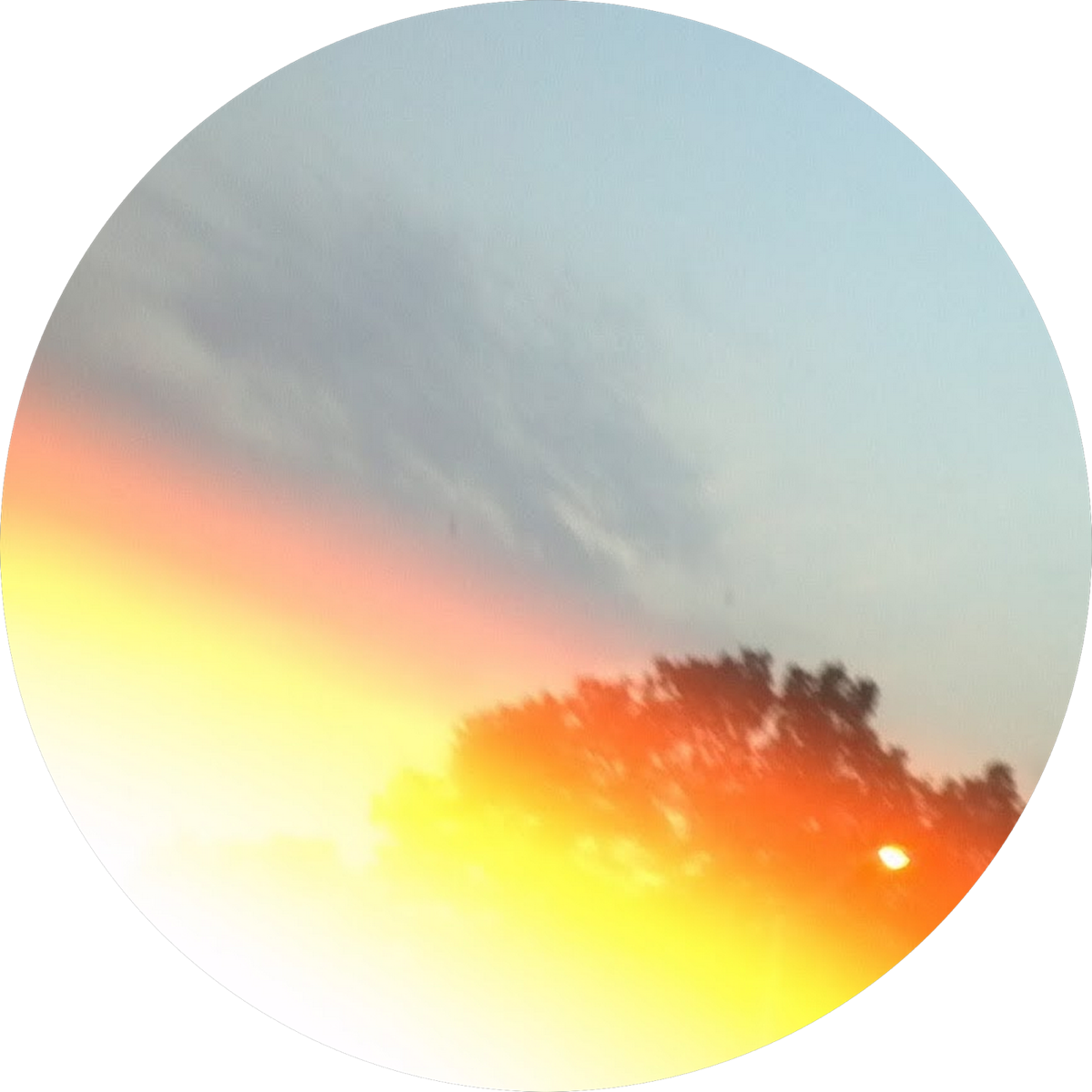 Carpet installation NJ customer review &mdash; 5-star from Monica Rai of Parlin, NJ &mdash; My Way Carpet Floors & More